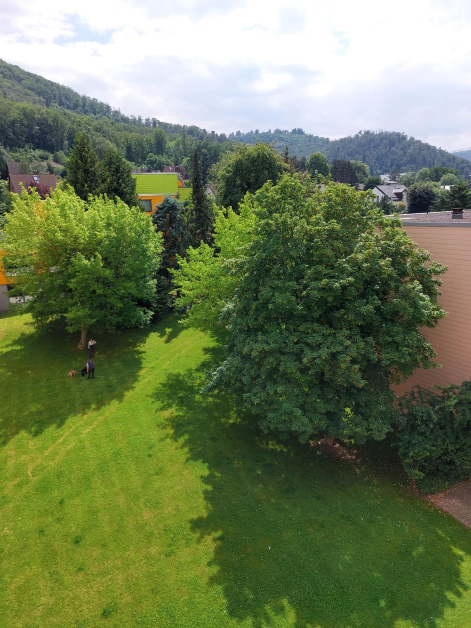 Burgberg-Blick Apartment Bad Harzburg Ngoại thất bức ảnh